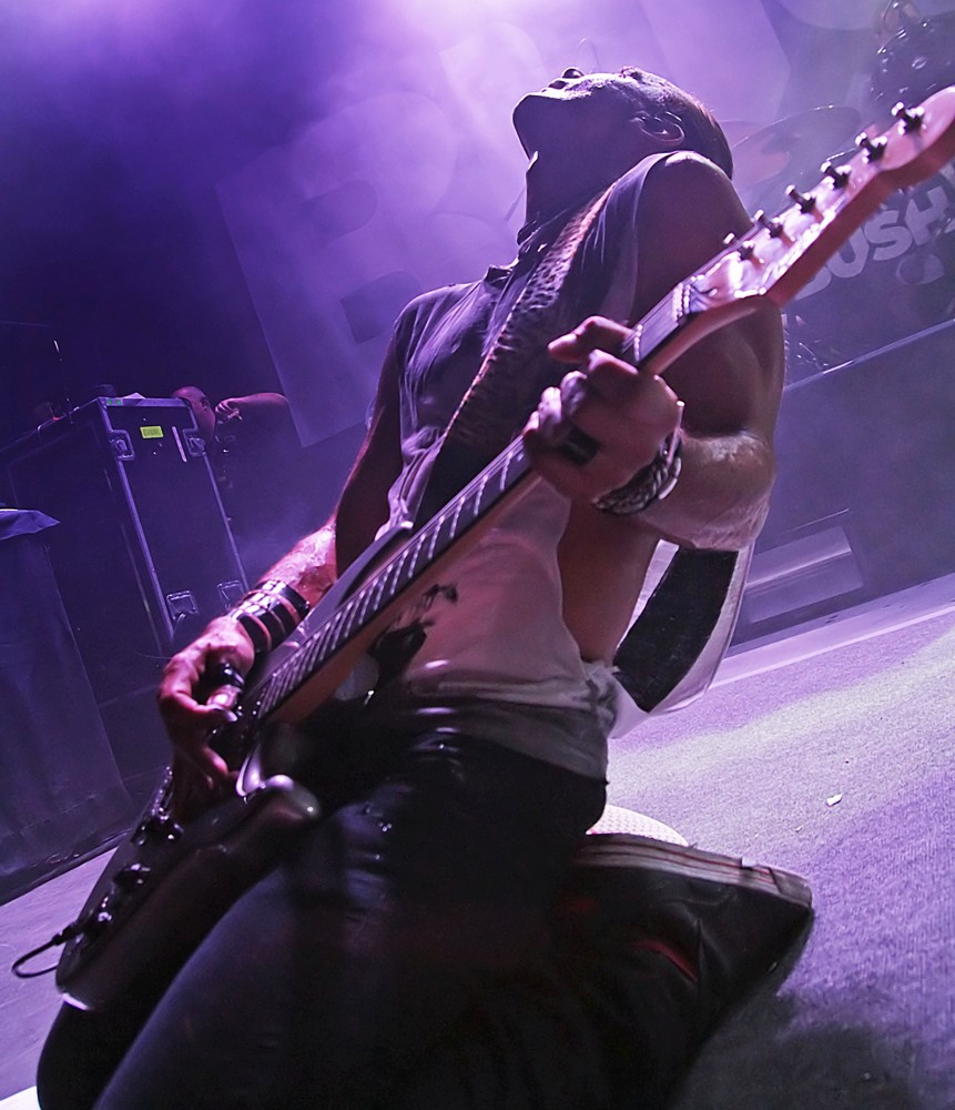 Gavin Rossdale;Bush;<br>Bush Performing on Stage