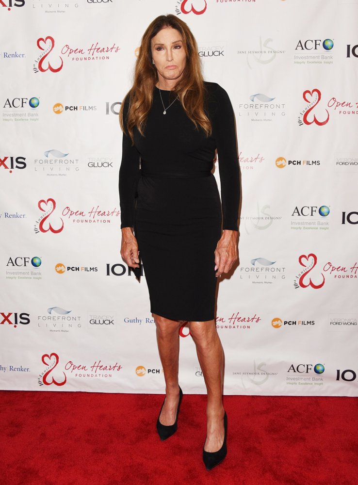 The Open Hearts Gala to Benefit Open Hearts Foundation Founded by Jane Seymour