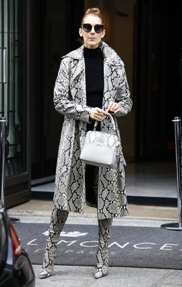 Celine Dion Leaving Her Hotel