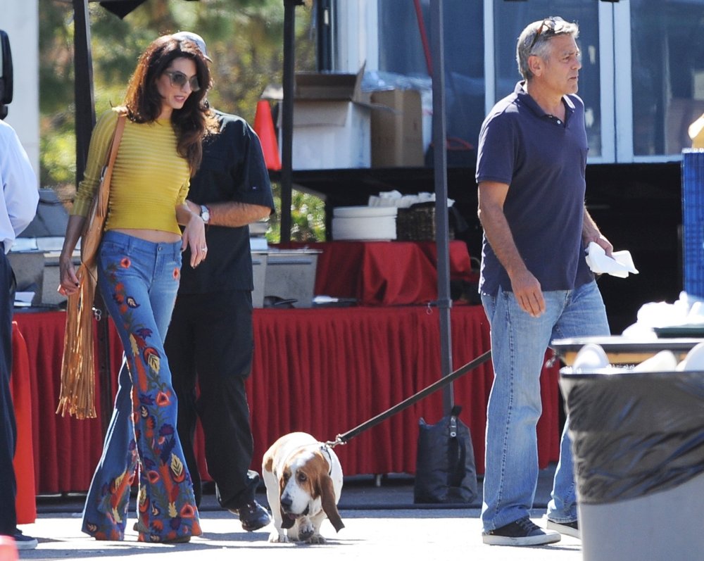 Amal Alamuddin;George Clooney;<br>George Clooney and Amal Alamuddin Take Their Hound Dog on The Set of Suburbicon
