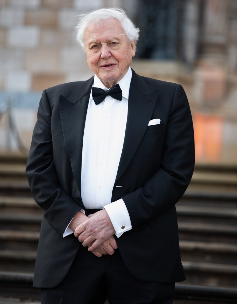 David Attenborough;<br>Our Planet Global Premiere - Arrivals