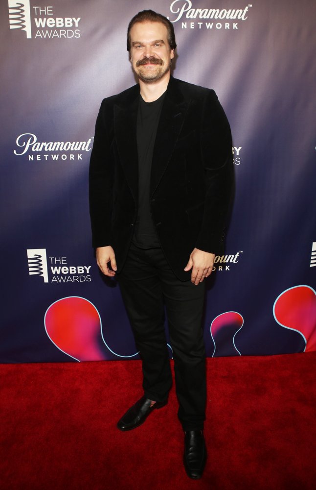 David Harbour Picture 1 - The 22nd Annual Webby Awards | AceShowbiz