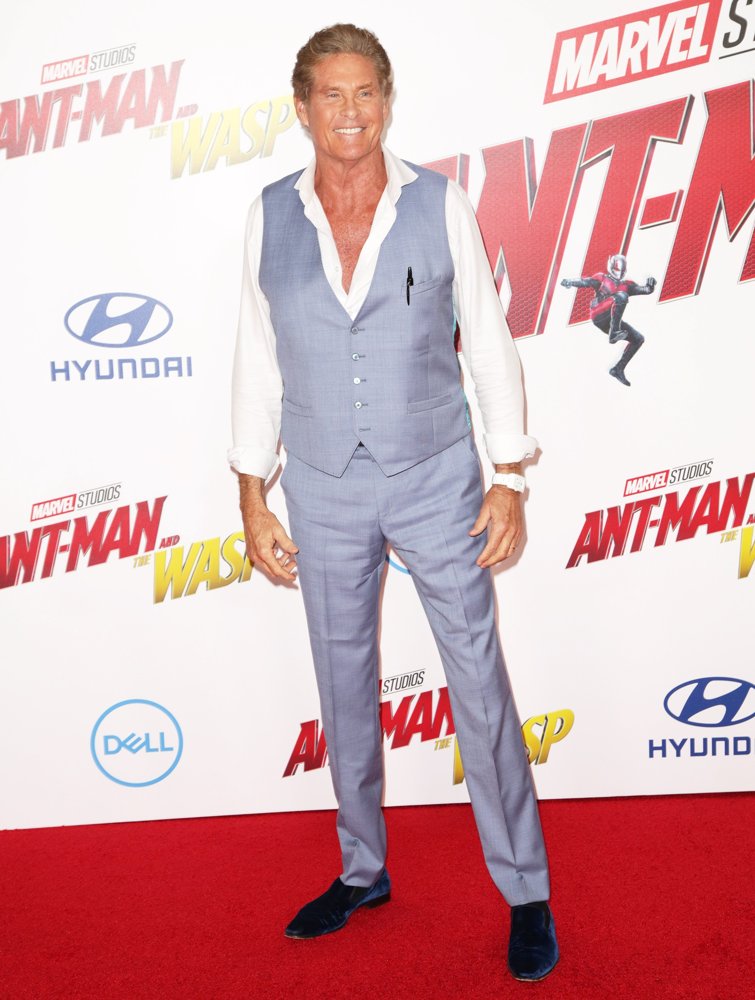 David Hasselhoff Picture 1 - Ant-Man and the Wasp Film Premiere ...