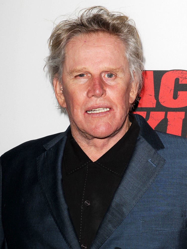The Latest On Gary Busey: Career, Controversies, And More - Image 4