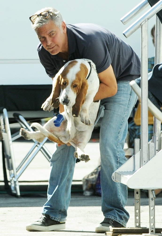 George Clooney;<br>George Clooney and Amal Alamuddin Take Their Hound Dog on The Set of Suburbicon