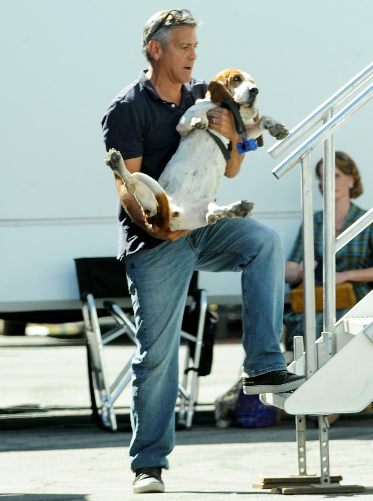 George Clooney;<br>George Clooney and Amal Alamuddin Take Their Hound Dog on The Set of Suburbicon