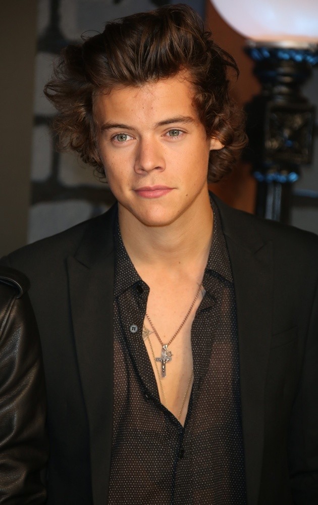 Harry Styles Picture 105 2013 MTV Video Music Awards Arrivals