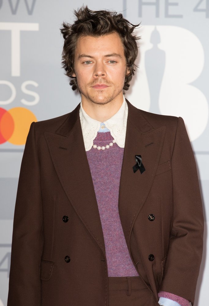 harry styles outfits 2020
