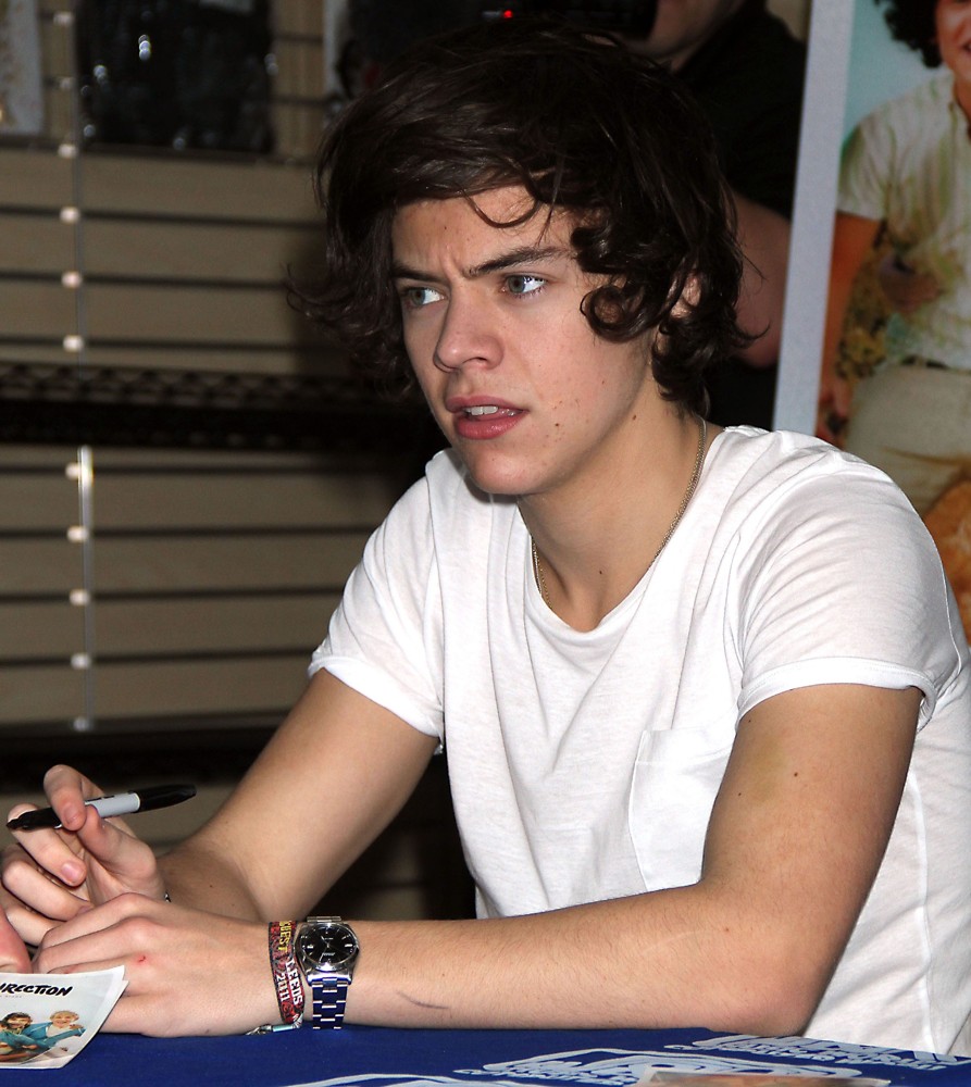 Harry Styles;One Direction;<br>One Direction Sign Autographs