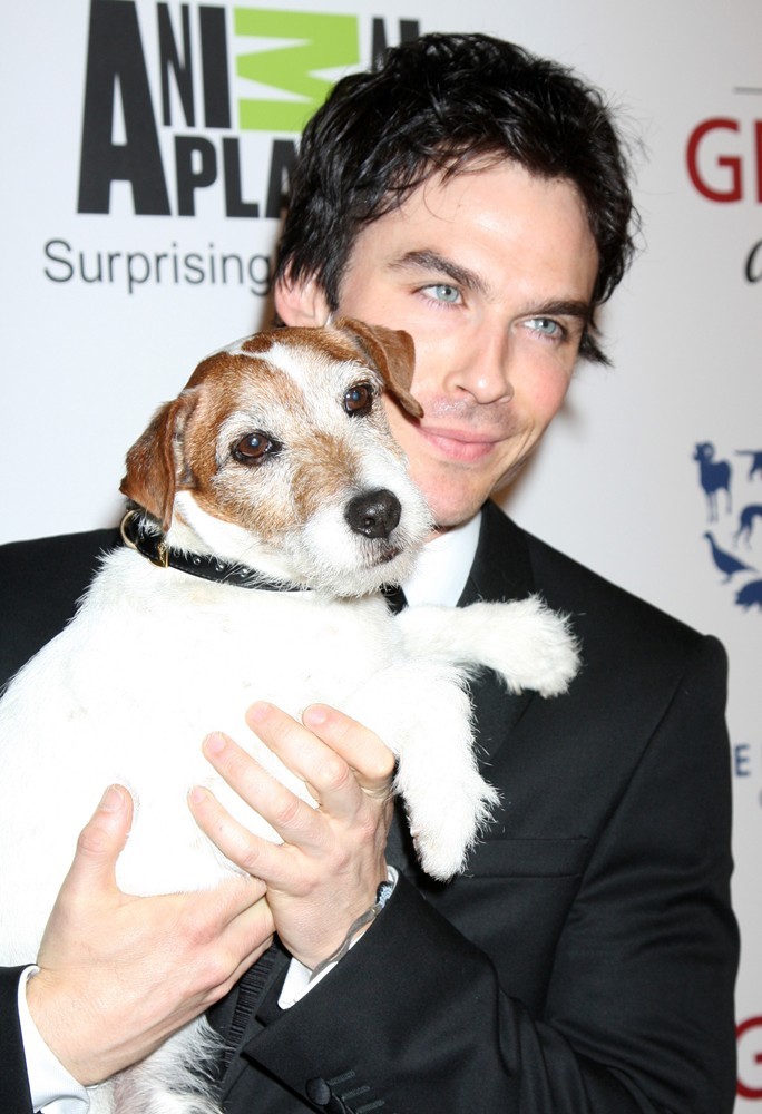 Ian Somerhalder;<br>The Humane Society of The United States Celebrates The 26th Annual Genesis Awards