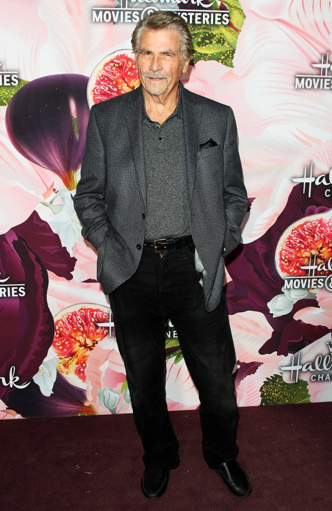 Hallmark Winter TCA 2018 Event