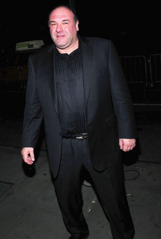 James Gandolfini Picture 21 Los Angeles Premiere of Columbia Pictures