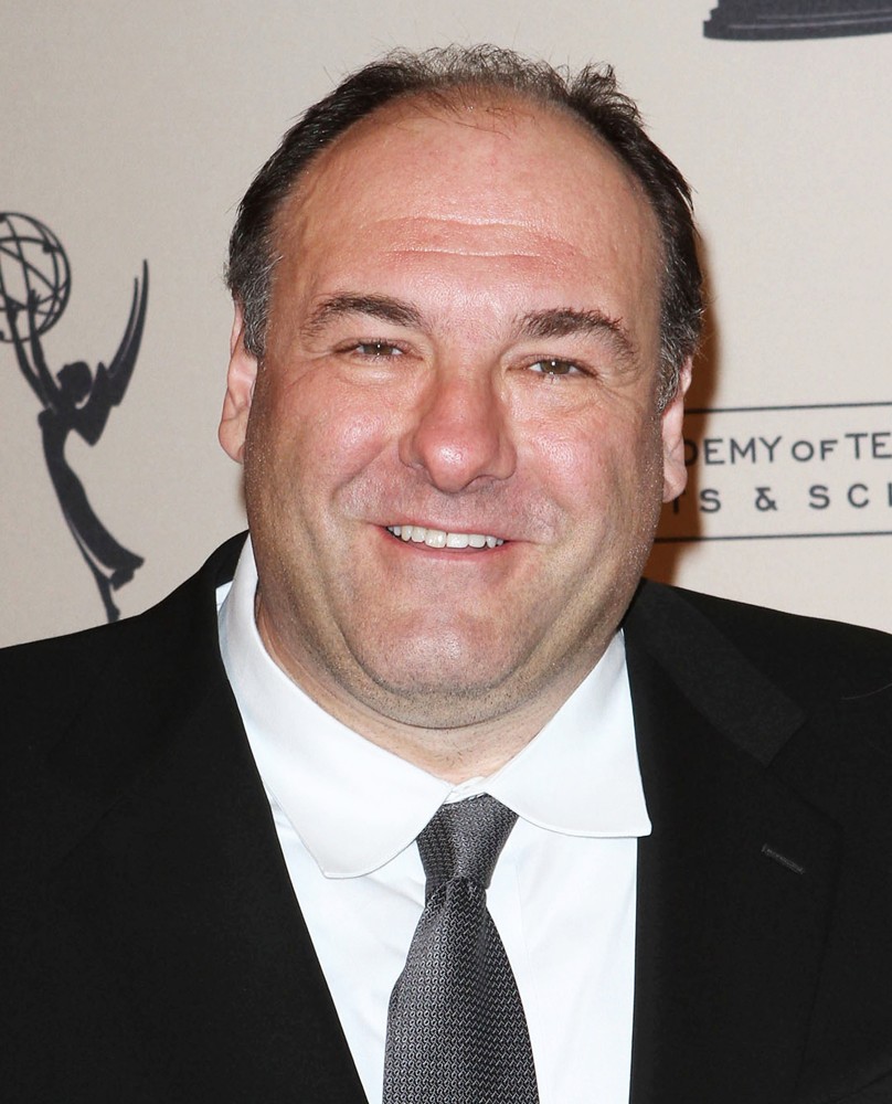 james gandolfini picture 10 academy television james gandolfini picture 10 academy television
