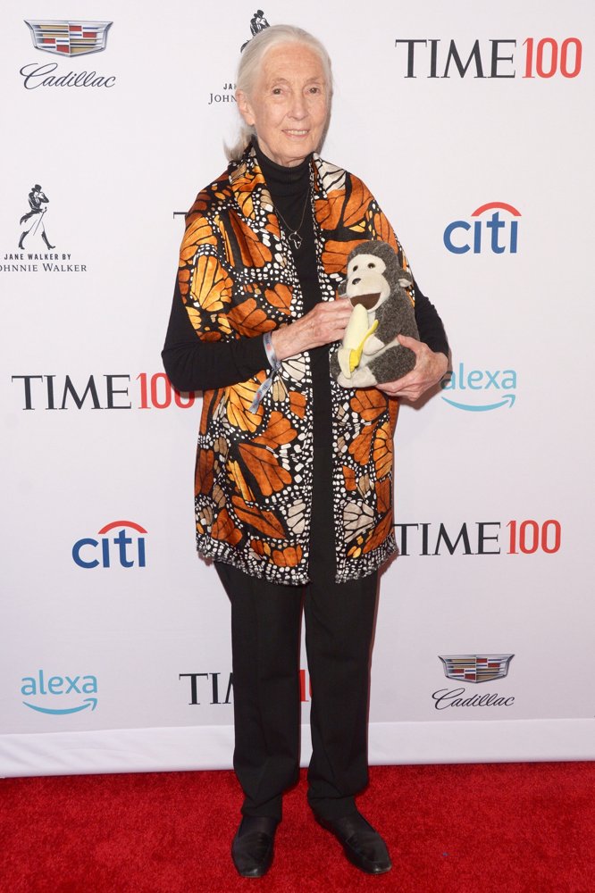 Jane Goodall;<br>TIME 100 Gala 2019 - Red Carpet Arrivals
