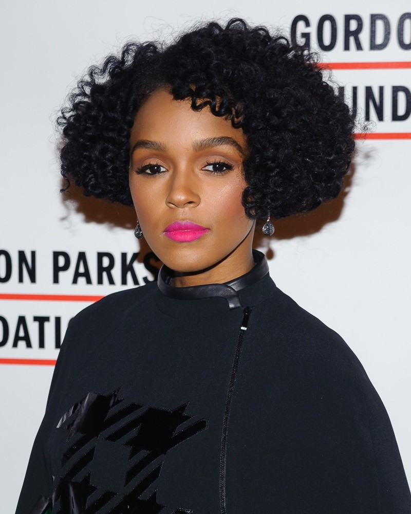 Janelle Monae in 2016 Gordon Parks Foundation Awards Dinner - Arrivals.