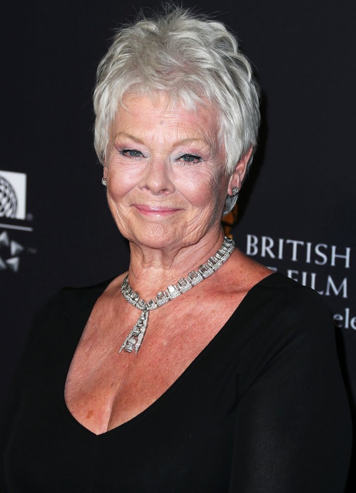 Judi Dench;<br>2014 BAFTA Los Angeles Jaguar Britannia Awards Presented by BBC America and United Airlines