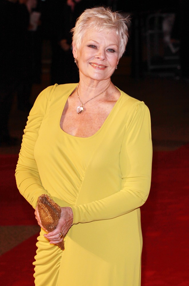 Judi Dench;<br>Nine - World Premiere
