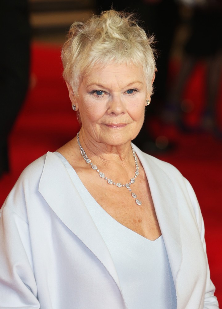 Judi Dench Picture 29 - World Premiere of Skyfall - Arrivals