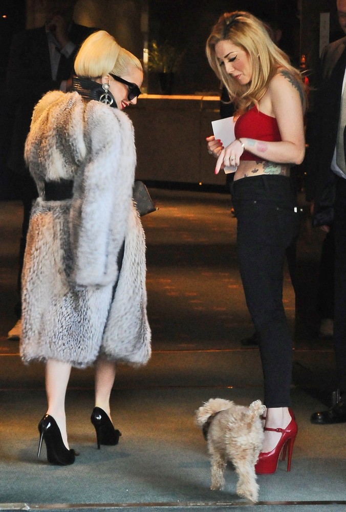 Lady GaGa;<br>Lady GaGa Carries A Puppy as She Leaves Her Hotel