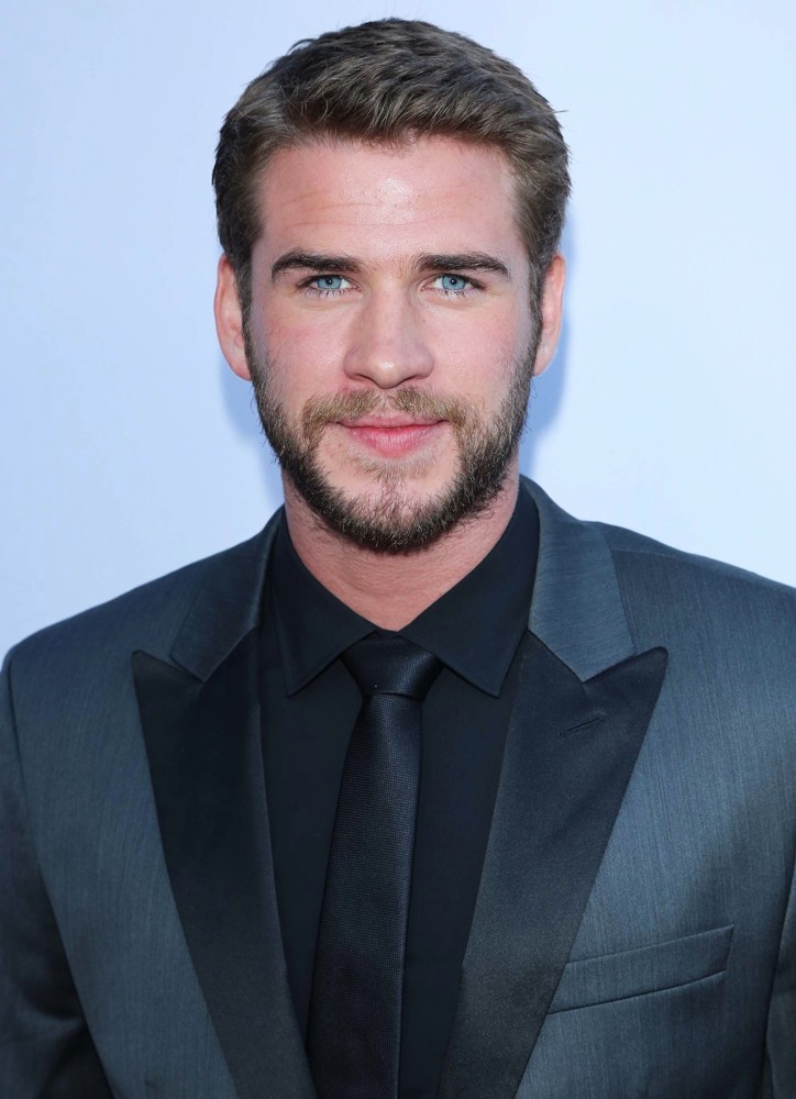 Liam Hemsworth;<br>RELATIVITY MEDIA Presents The US Premiere of Paranoia