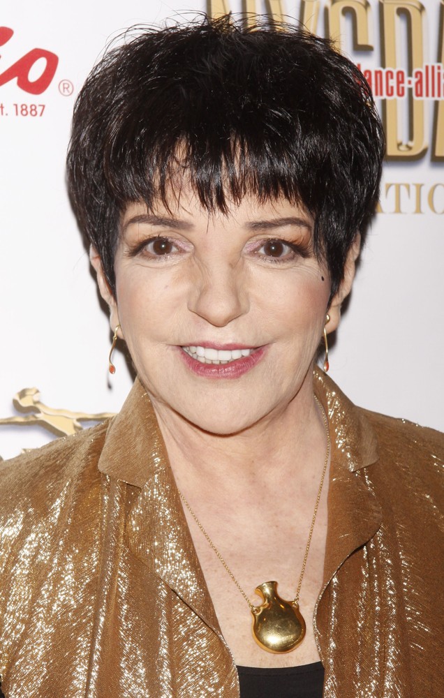 Liza Minnelli Picture 22 - The NYC Dance Alliance Foundation Gala ...