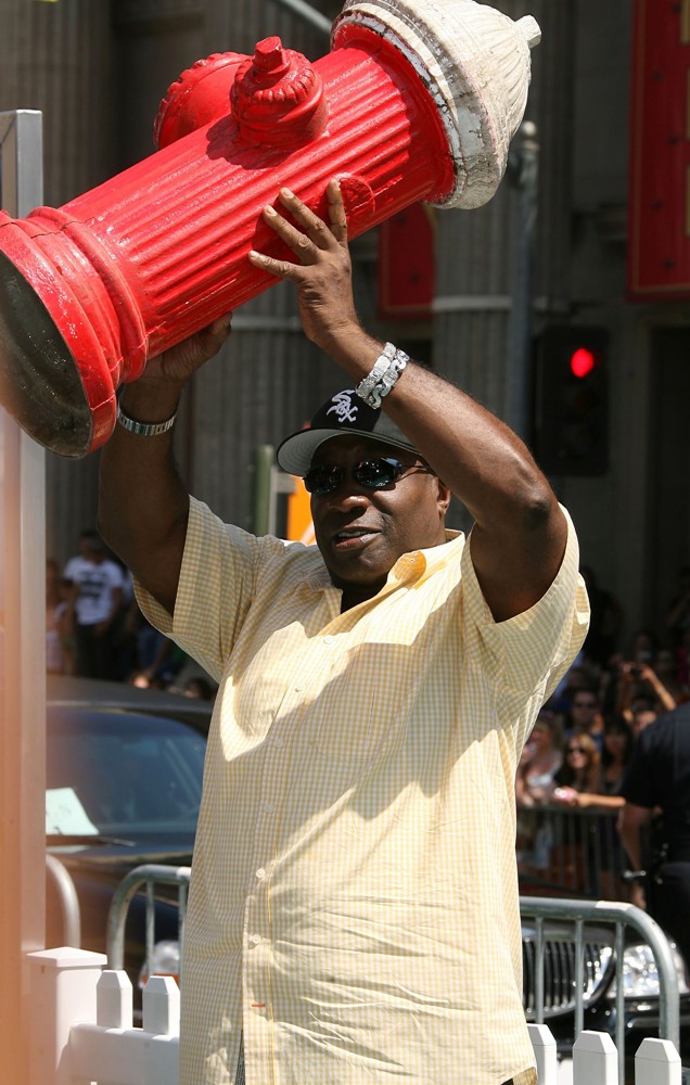 Michael Clarke Duncan;<br>Los Angeles Premiere of Cats and Dogs: The Revenge of Kitty Galore