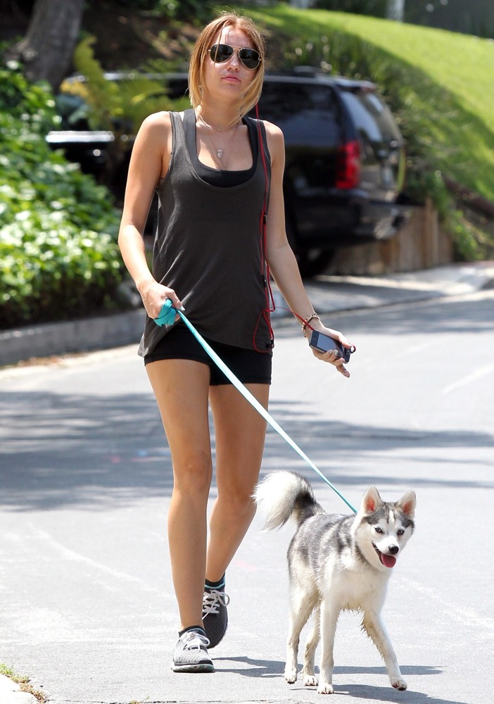 Miley Cyrus Picture 380 - Miley Cyrus Walks Her Siberian Husky Puppy