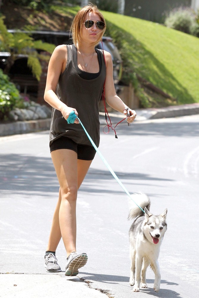 Miley Cyrus Picture 380 - Miley Cyrus Walks Her Siberian Husky Puppy