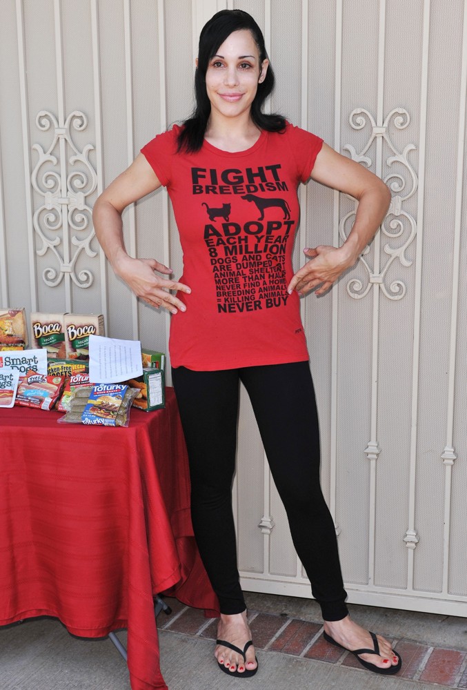 Nadya Suleman Pictures - Gallery 3 with High Quality Photos