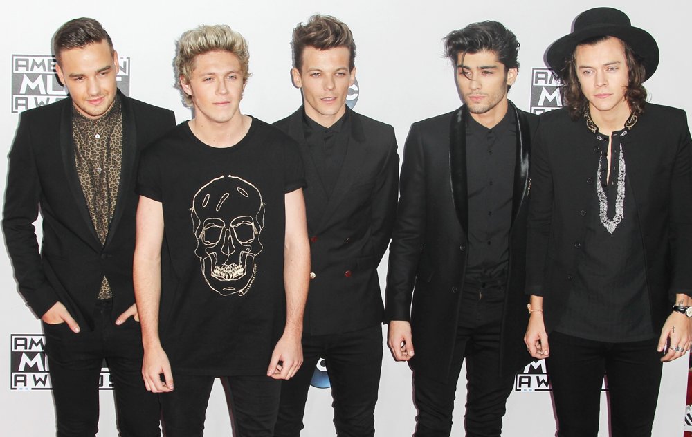 One Direction;<br>2014 American Music Awards - Arrivals