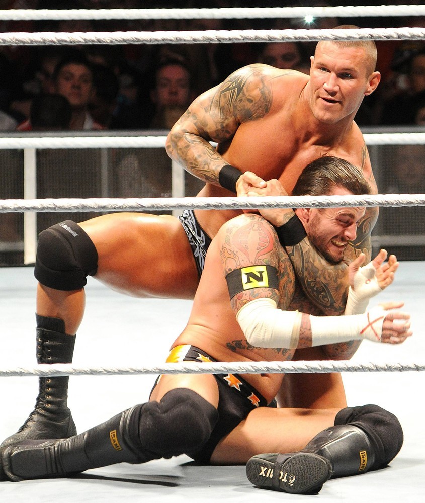 Randy Orton;CM Punk;<br>WWE RAW Wrestling Superstars