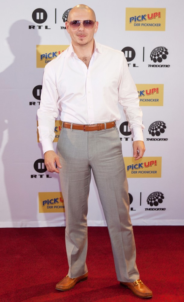 Pitbull;<br>German RTL2 TV Show The Dome