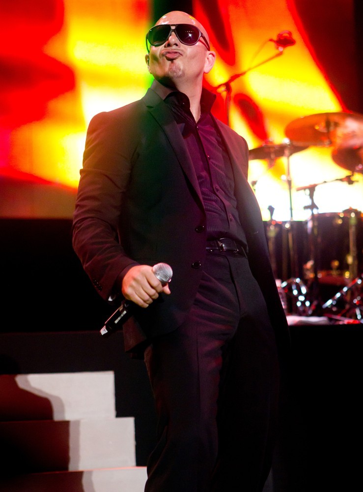  Pitbull Picture 1 - Pitbull Performs in Concert at Crocus City Hall 