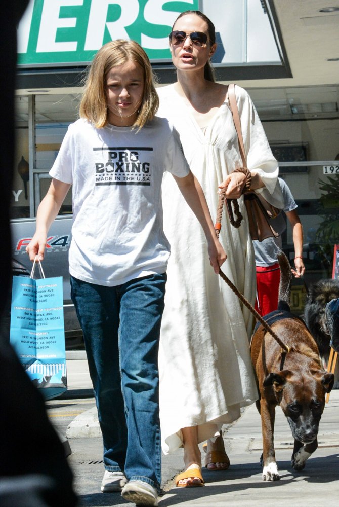 Angelina Jolie and Vivienne Walk Their Dog
