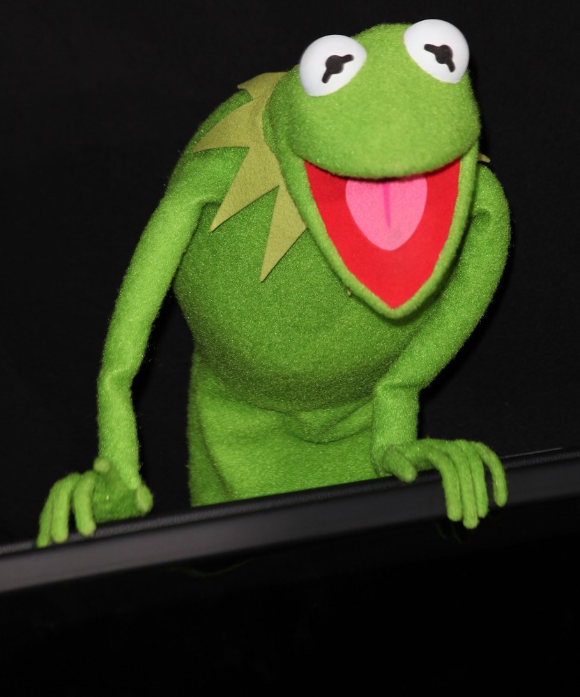 <br>The Premiere of Walt Disney Pictures' The Muppets - Arrivals