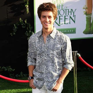 The World Premiere of The Odd Life of Timothy Green - Arrivals