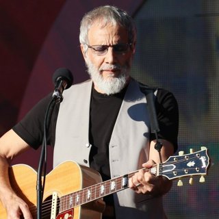 Cat Stevens