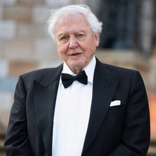 David Attenborough