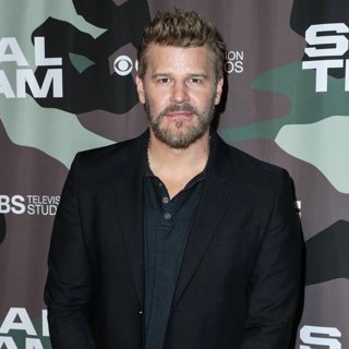 David Boreanaz