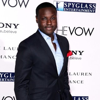 The Vow Los Angeles Premiere