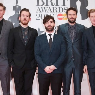 Foals