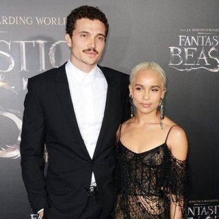 Fantastic Beasts and Where to Find Them World Premiere - Red Carpet Arrivals