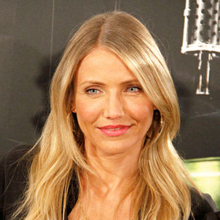 'The Green Hornet' Photocall