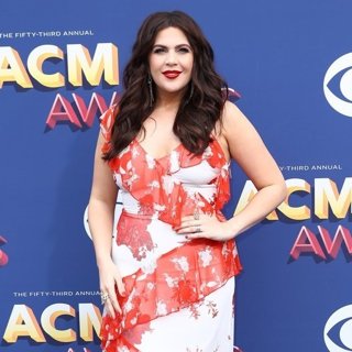 Hillary Scott, Lady Antebellum in 53rd Academy of Country Music Awards - Arrivals
