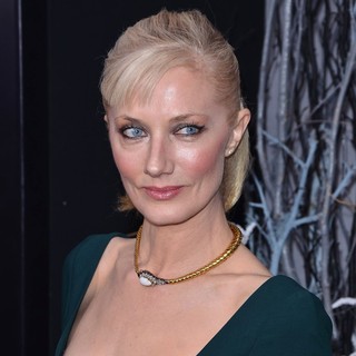 New York Premiere of The Girl with the Dragon Tattoo - Arrivals