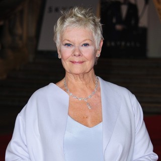 World Premiere of Skyfall - Arrivals