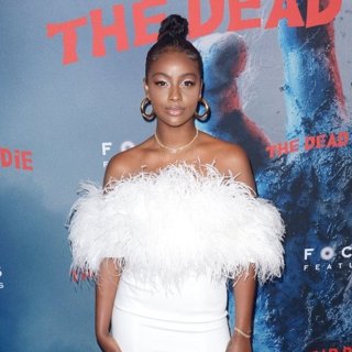 The Dead Don't Die New York Premiere - Red Carpet Arrivals