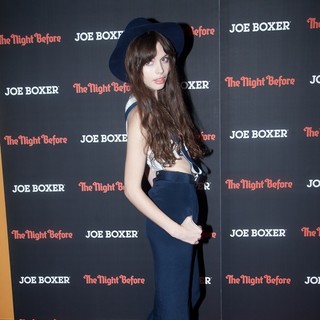New York Screening of Columbia Pictures' The Night Before - Red Carpet Arrivals