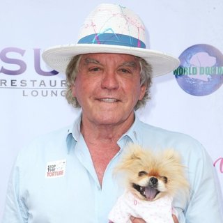 Ken Todd