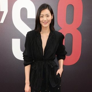 Liu Wen